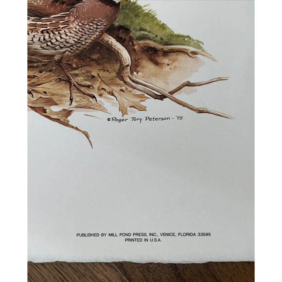 Roger Tory Peterson Art Quail Family Lithograph Print USA 1975 14x11 - Picture 5 of 7
